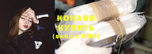 спайс Тавда